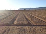 Parcela en Venta en Yecla, Murcia