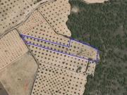 Parcela en Venta en Yecla, Murcia
