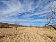 Parcela en Venta en Yecla, Murcia