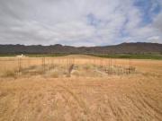 Parcela en venta en Yecla, Yecla