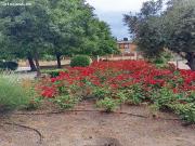 Parcela en Venta en Zarzalejo, Madrid