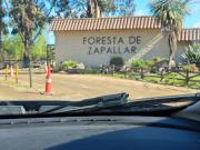 LA FORESTA DE ZAPALLAR, 10.000. M2 PARA CONSTRUIR EL...