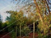 ! PARCELA EN VENTA LA PLACETA, SAN CLEMENTE !