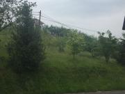 Parcela en venta. PARRES