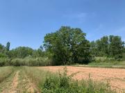 Parcela en venta. PEDRALBA