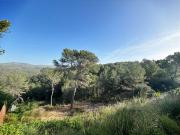 PARCELA EN VENTA SANT PERE DE RIBES