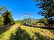 Parcela en venta, sector El Claro, Pucón
