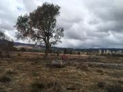 Parcela en Villarrica