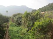 Parcela Gandia Urbano 1384clf 180.000 Euros