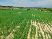 PARCELA IDEAL PARA LA CONTRUCCION DE TU CHALET