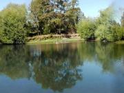 Parcela junto al río Tolten