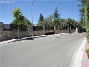 parcela llana en robledal