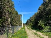 PARCELA NUEVA BRAUNAU