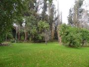 Parcela o Chacra en Arriendo en Pirque 5 dormitorios 3 baños Parcela o Chacra en Arriendo en Pirque 5 dormitorios 3 baños