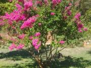 Parcela o Chacra en Venta en Parral 4 dormitorios 3 baños