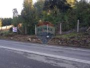 Parcela Orilla Carretera Villarrica Panguipulli