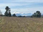 Parcela Panguipulli con Luz y Agua