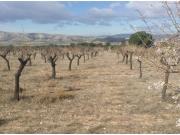 Parcela para edificar cerca del pueblo Biar!