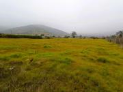 PARCELA PLANA /CULIPRÁN/MELIPILLA PARCELA PLANA /CULIPRÁN/MELIPILLA