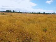 Parcela Quilquico, Castro Chiloé