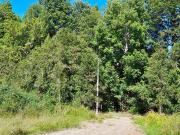 PARCELA REBAJADA CON BOSQUE Y ESTERO, LUZ, AGUA Y FIBRA...