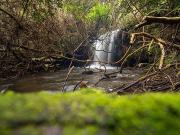 Parcela Rio Maullin Puerto Varas