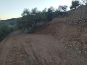 PARCELA RUSTICA 1101 MT CON SUPERFICIE PLANA CAMINO...