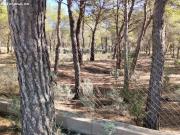 Parcela Rústica con permiso de obra en Sierra Espuña:...