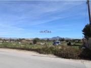 ? Parcela Rústica con Vivienda para Reformar en Mutxamel...