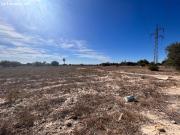 PARCELA RÚSTICA DE 11.500M2 EDIFICABLE. Buena conexión a...