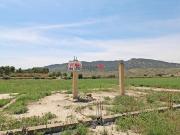 PARCELA RUSTICA DE 20.000 m2 EN LA HUERTA DEL NUBLO REF 305