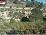 Parcela rustica en Albacete