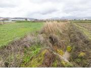 PARCELA RÚSTICA EN ARMILLA