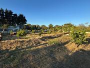 PARCELA RUSTICA EN BENHARAS