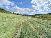 Parcela rustica en Estella