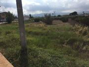 PARCELA RUSTICA EN LA ALBOREJA