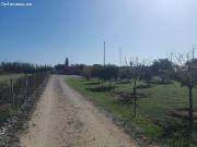 PARCELA RUSTICA EN LA JARA