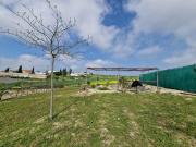 PARCELA RUSTICA EN LA ZONA DE MONTEOLIVETE