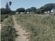 Parcela rustica en Pago del humo