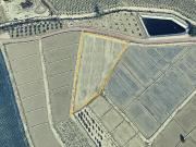 PARCELA RÚSTICA EN VENTA EN MERMEJO, TOTANA, MURCIA 4600M²