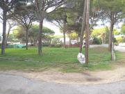 PARCELA SEGREGADA PINAR DEL EDEN