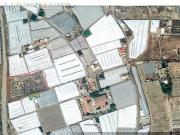 PARCELA RUSTICA USO AGRARIO