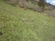 Parcela Rústica Venta Asturias