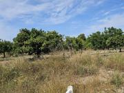 Parcela Rústica Venta Castellón