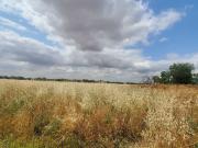 Parcela Rústica Venta Ciudad Real