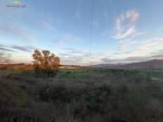 Parcela Rústica Venta Málaga