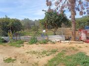 Parcela Rústica Venta Sevilla