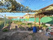 Parcela Rústica Venta Valencia