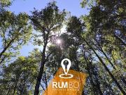 Parcela ruta Villarrica a Pucón Molco