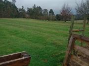 PARCELA SECTOR CAYUMAN RUTA 5 SUR PAILLACO